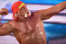 Hulk Hogan Tells Sun That He Almost Joined Metallica