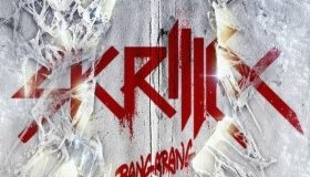Skrillex Bangarang Review