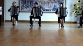 WTF: North Korean Kids Play Accordion Version of “Take On Me”